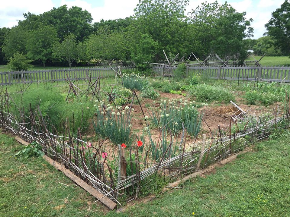 Good Gardening