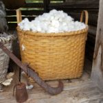Special Program- White Gold: Cotton in Texas