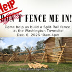 Help fence me in! Split rail fence building